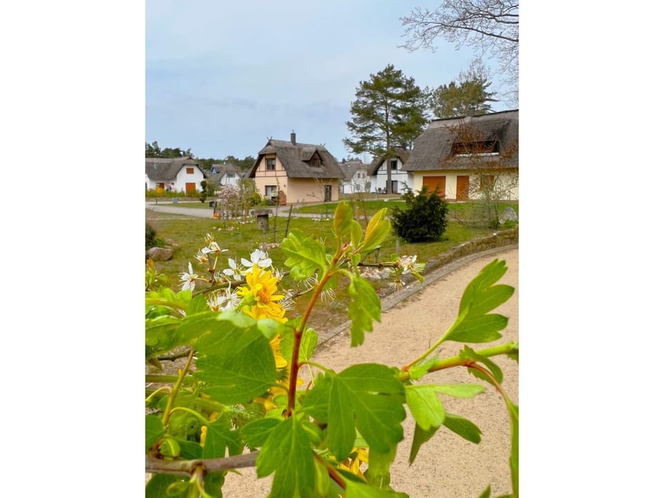 Neighbourhood
