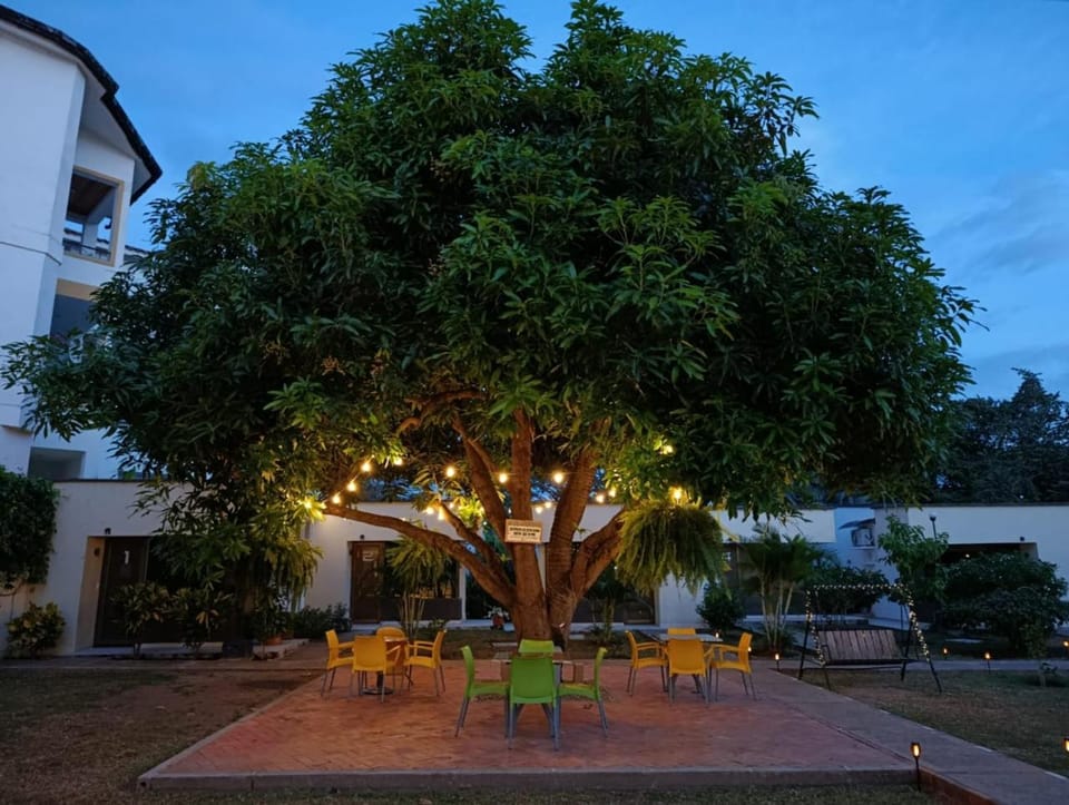 Natural landscape, Activities, Garden, View (from property/room), Entertainment, Sunset, furniture