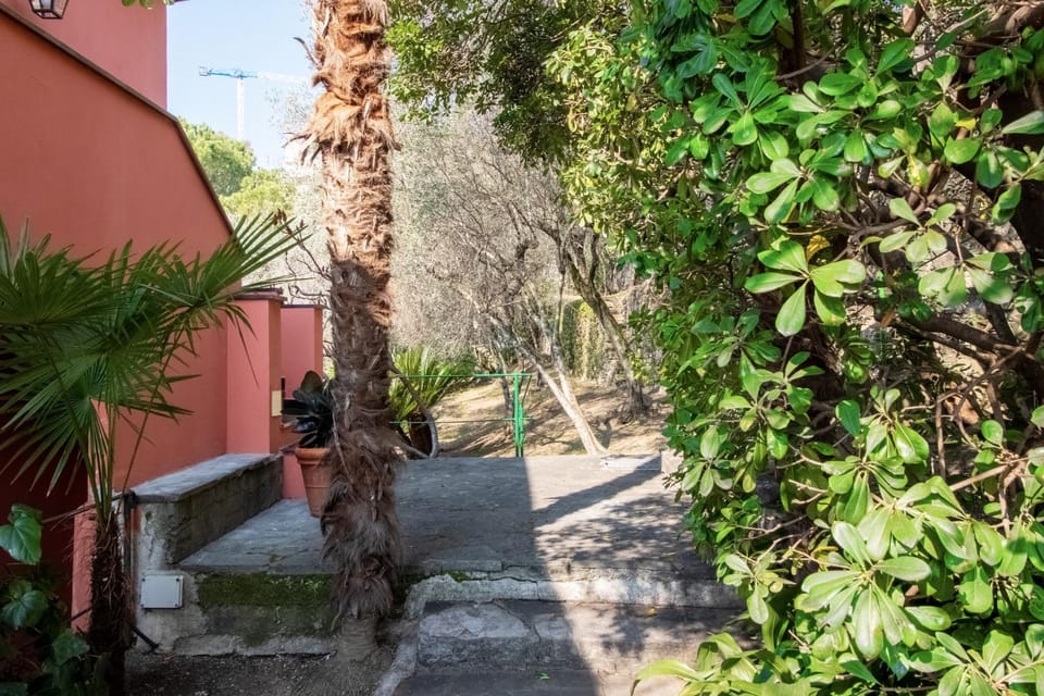 Facade/entrance, Garden