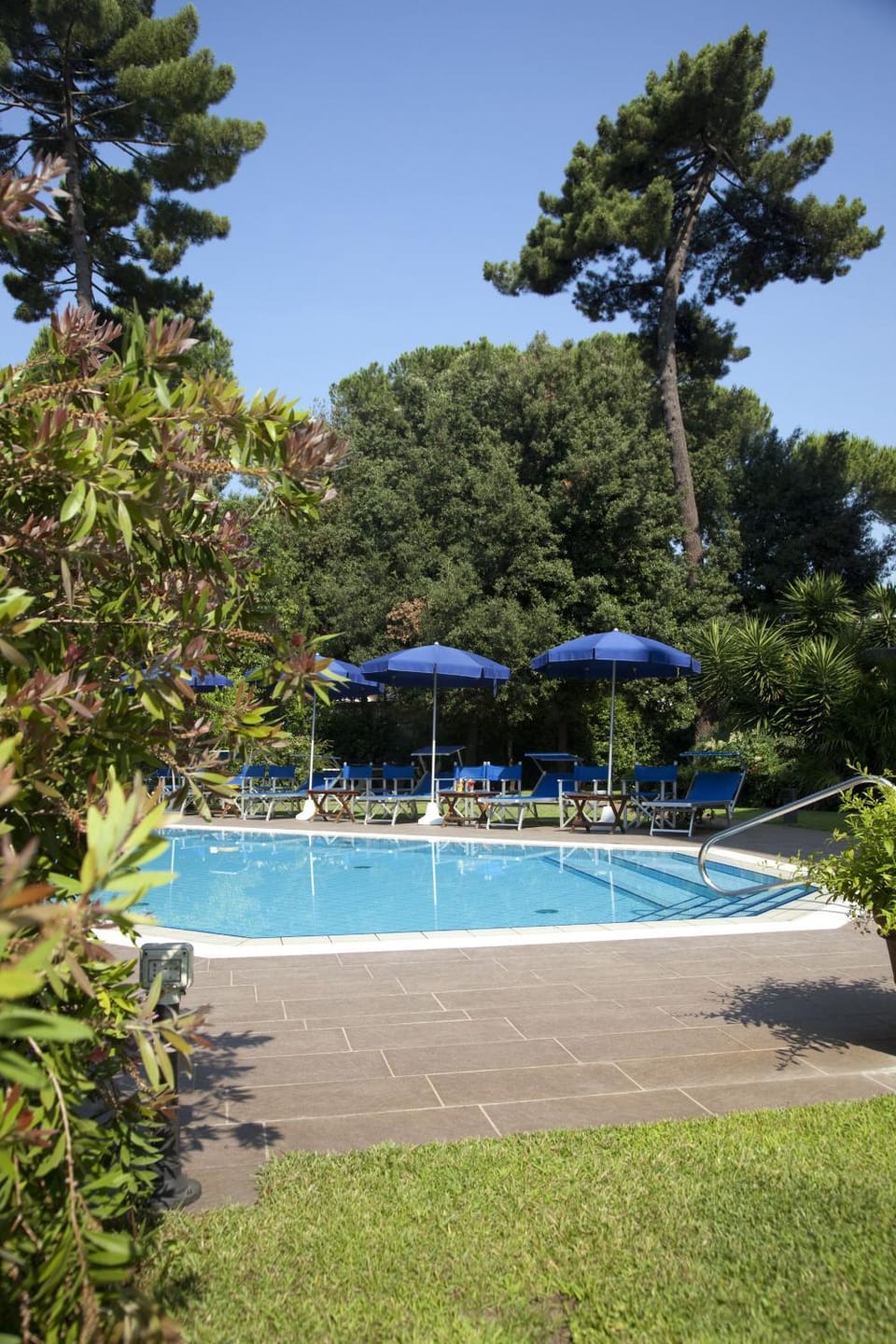 Garden, Swimming pool, Swimming pool