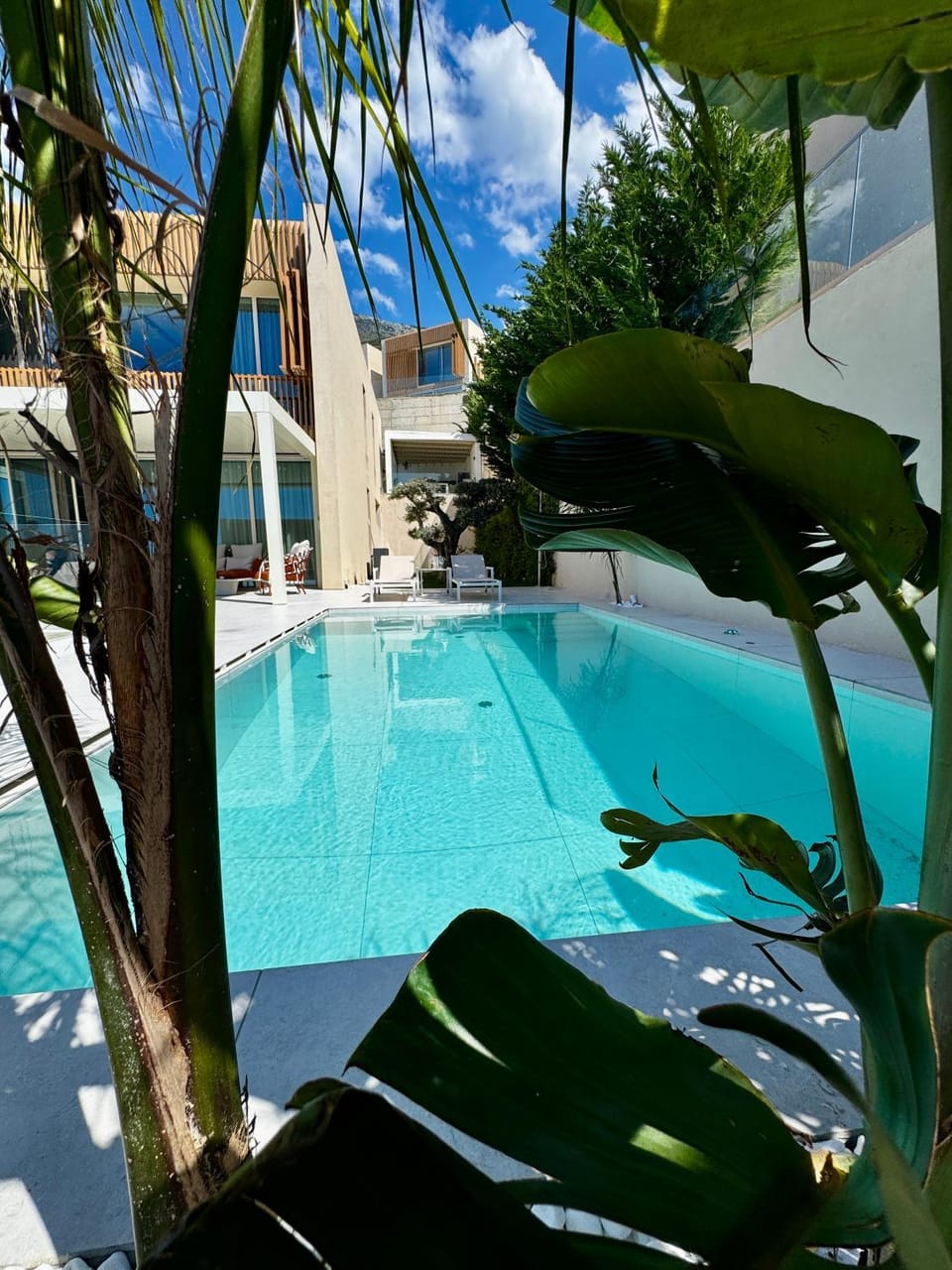 Day, Pool view, Swimming pool, sunbed