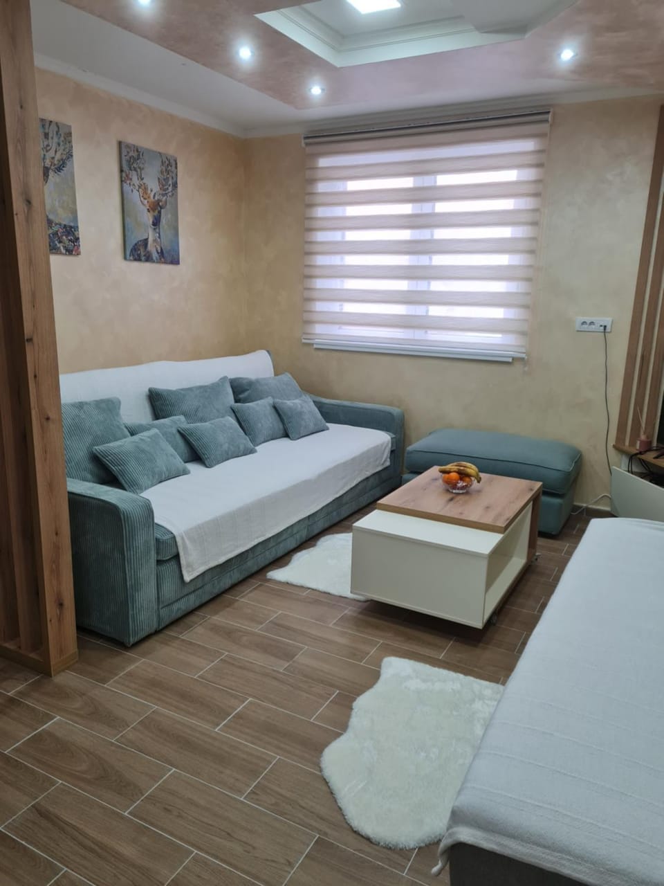 SWAN Kopaonik Apartment in Serbia