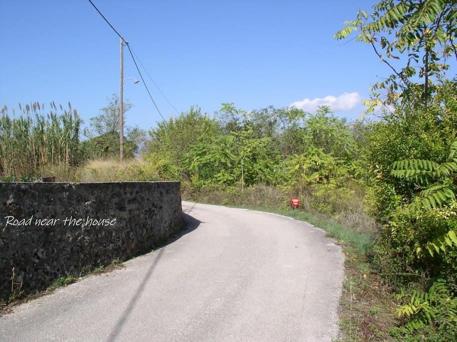 Day, Neighbourhood, Natural landscape