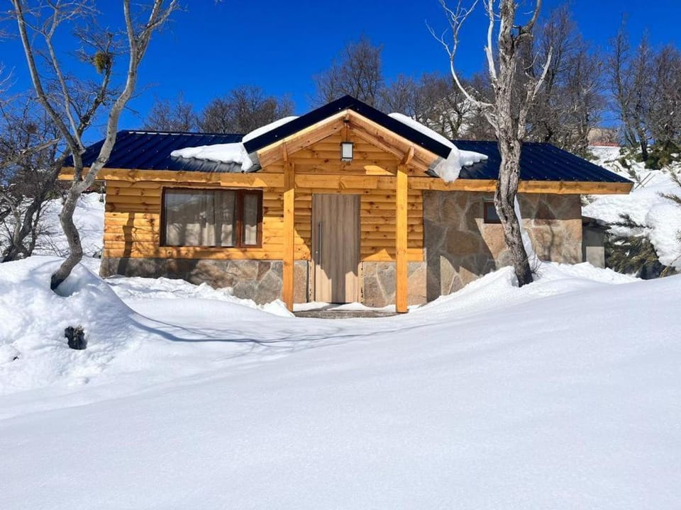 Cabañas Viajeros Patagónicos Moquehue Chalet in Araucania, Chile