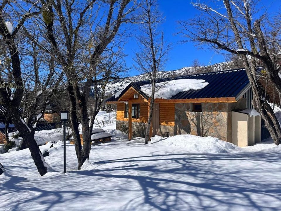 Cabañas Viajeros Patagónicos Moquehue Chalet in Araucania, Chile