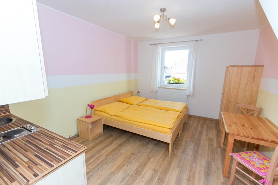 Penzion U Pešků Bed and Breakfast in Horní Planá