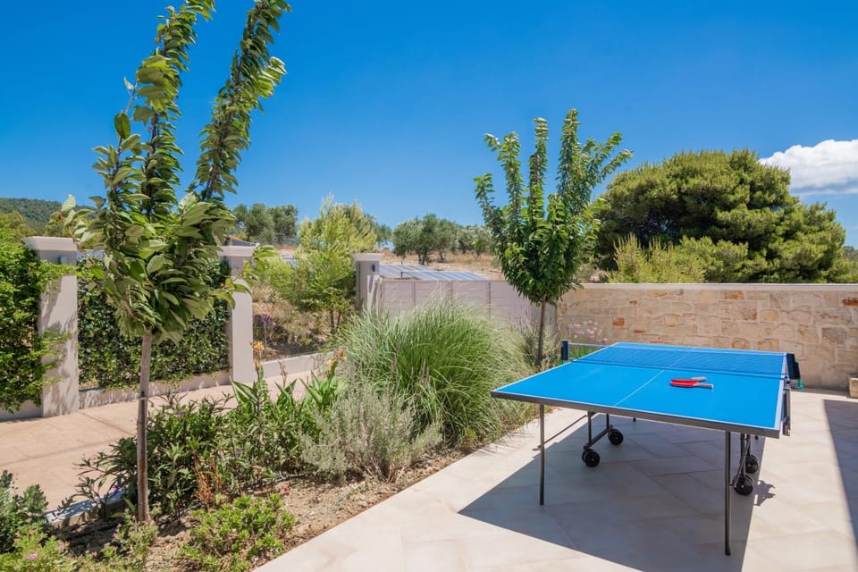 Garden, Table tennis