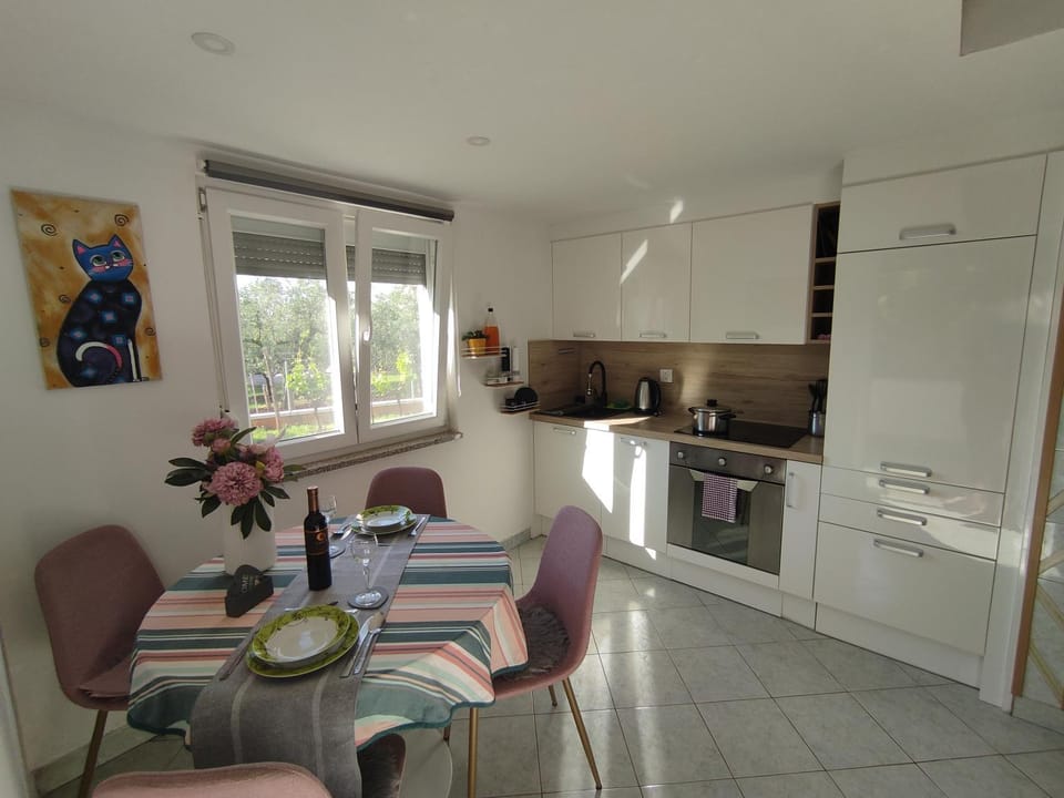 Jane Apartment in Istria County