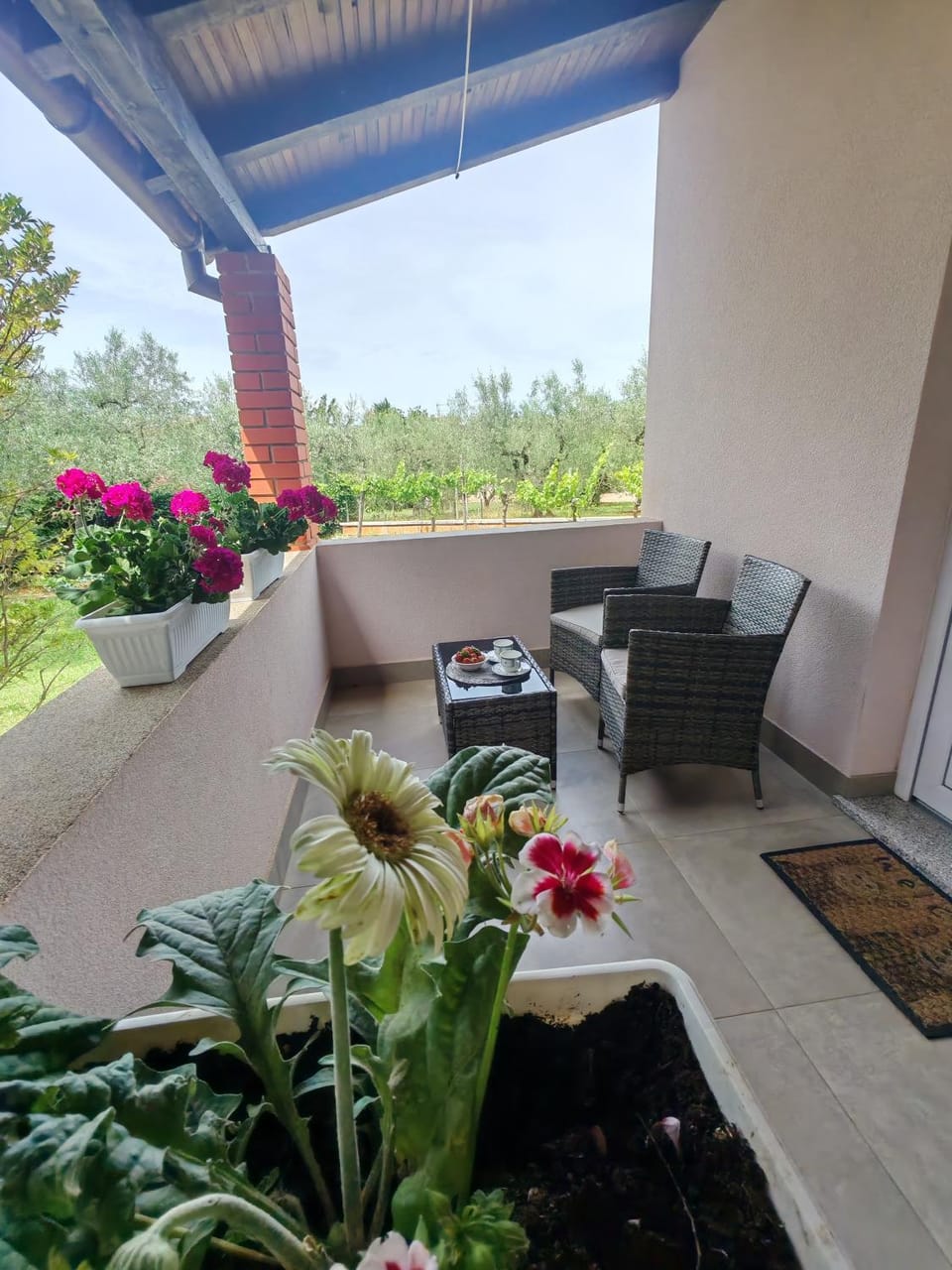 Jane Apartment in Istria County