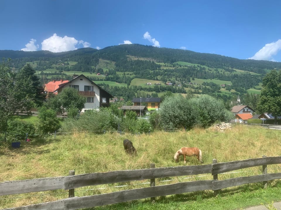 View (from property/room)