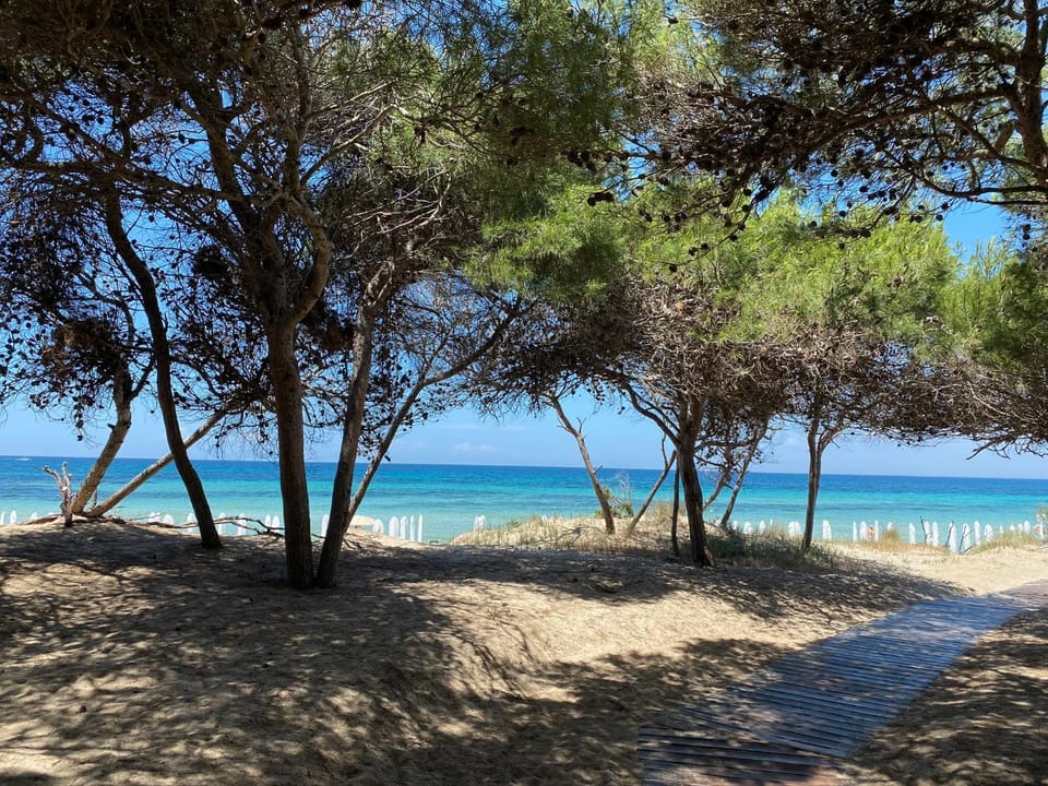 La Fenice sulla spiaggia Apartment in Apulia