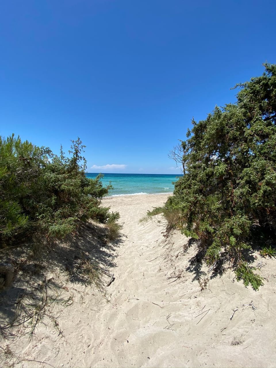 La Fenice sulla spiaggia Apartment in Apulia