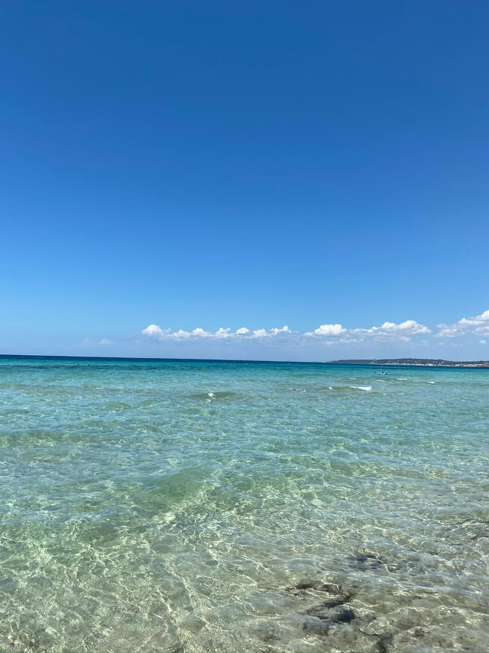 La Fenice sulla spiaggia Apartment in Apulia