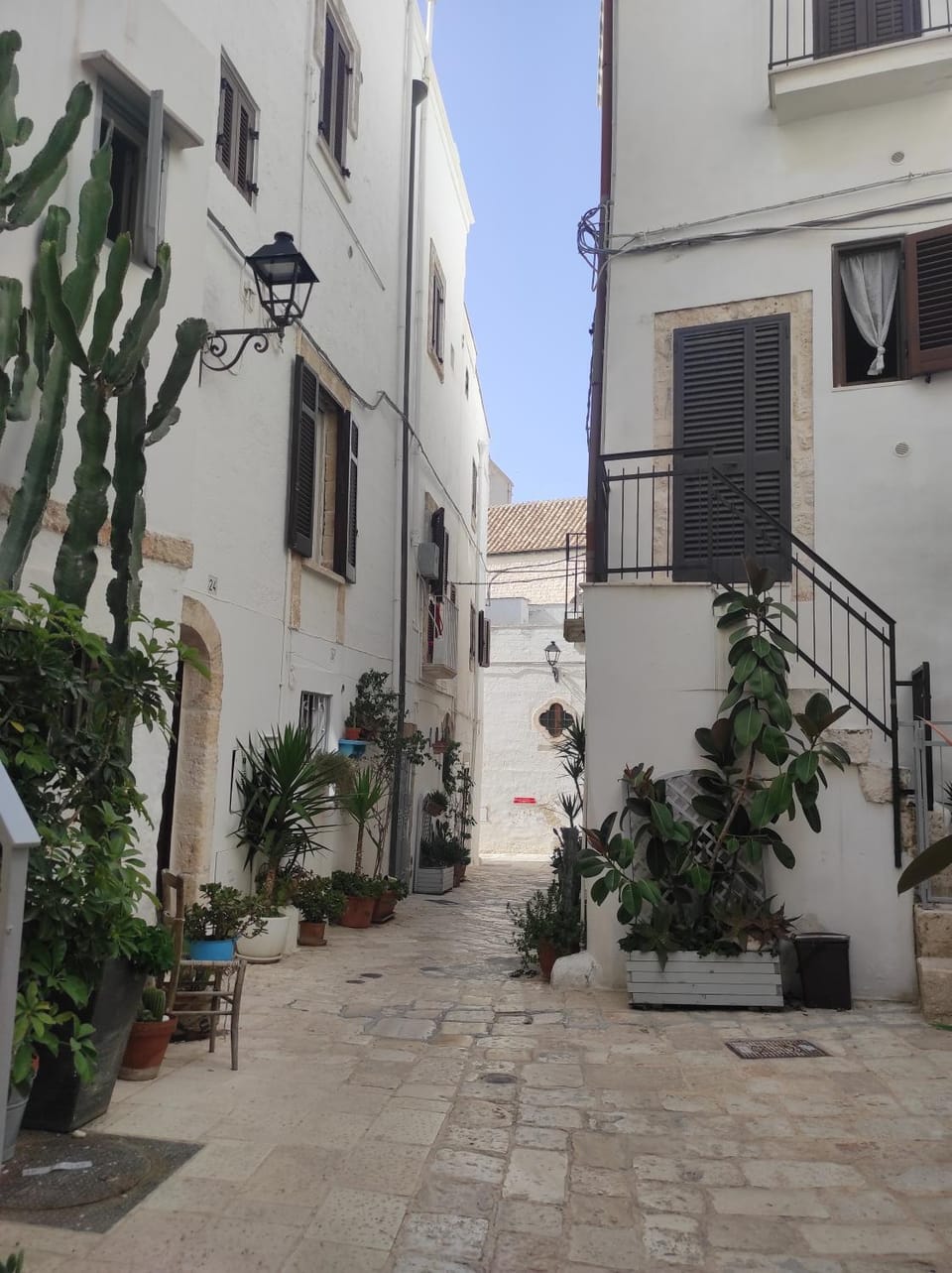 Neighbourhood, Street view