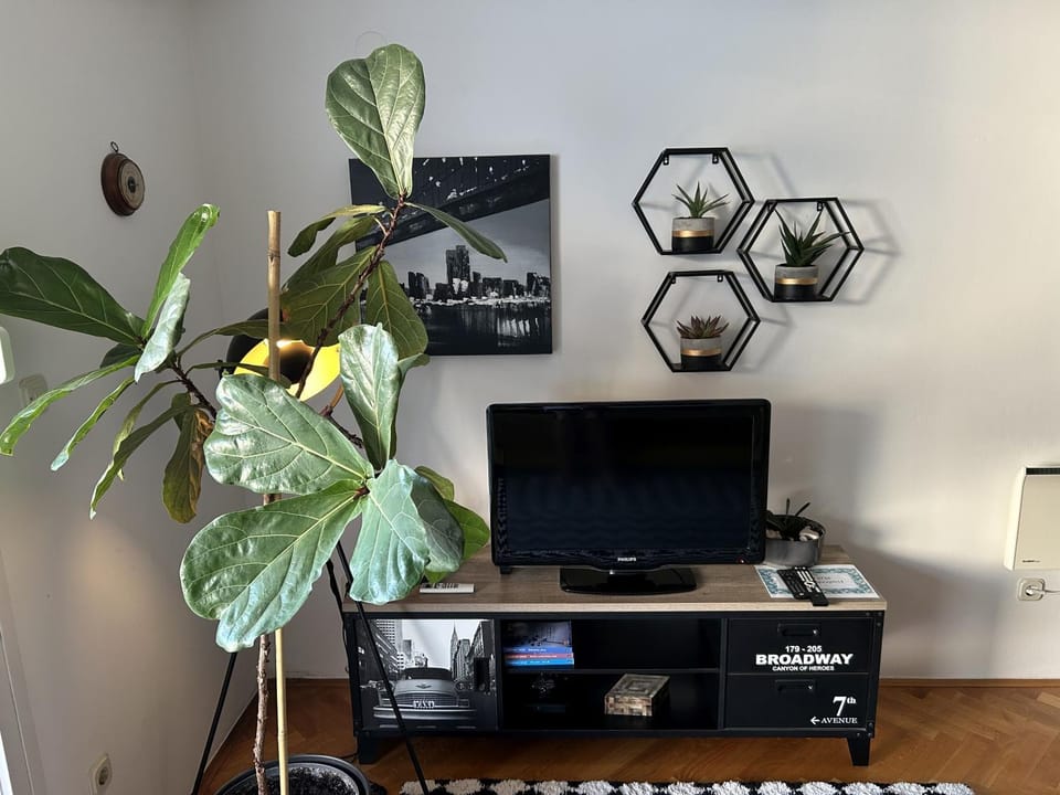 TV and multimedia