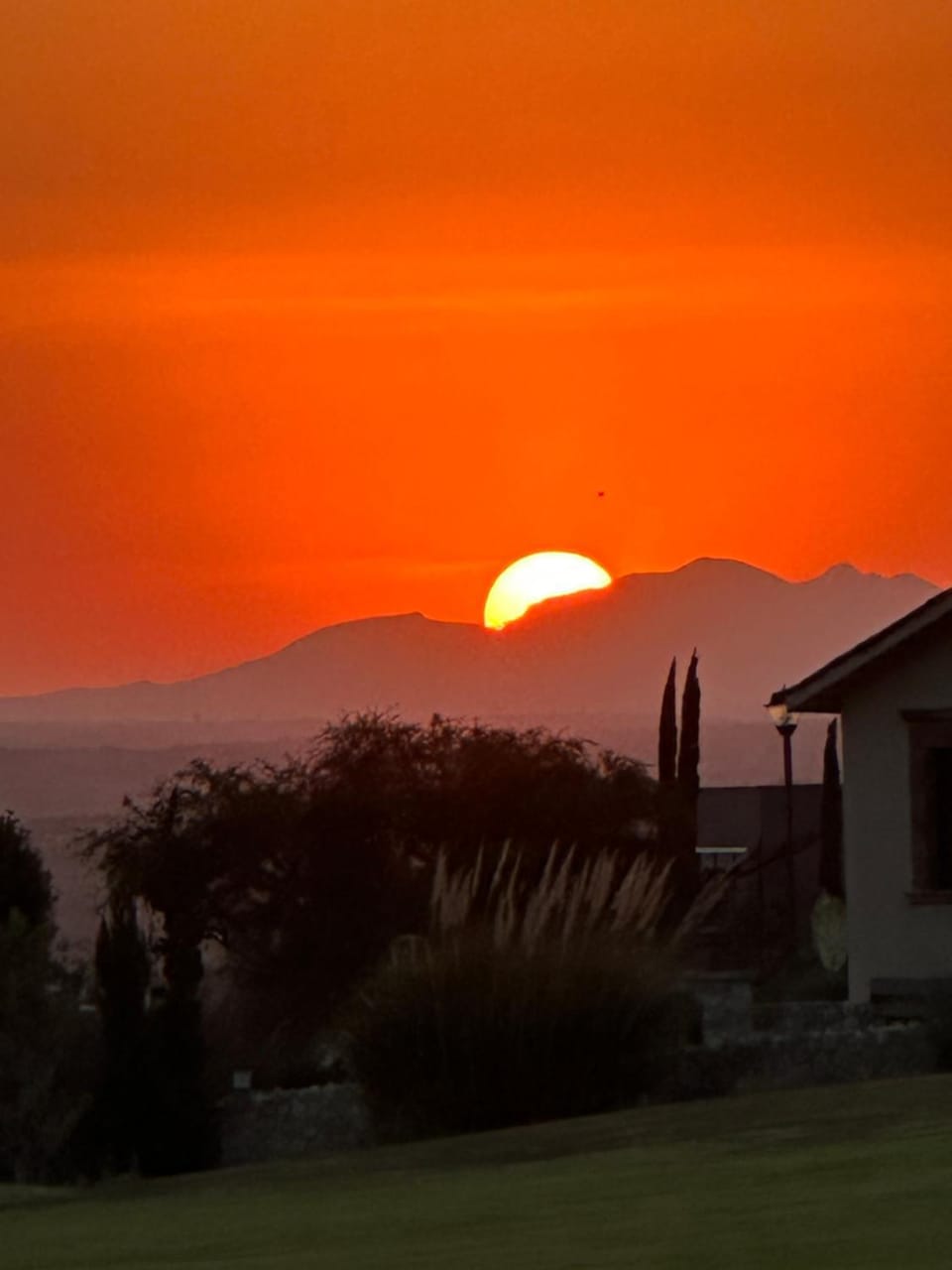 Garden view, Sunset