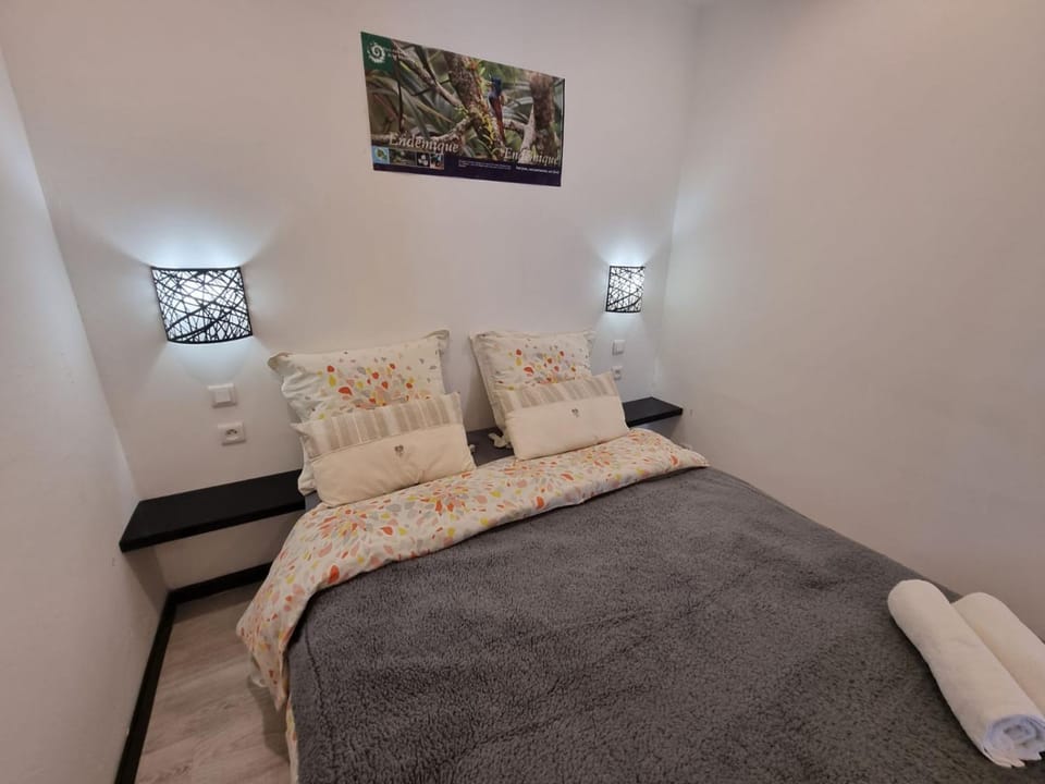 LES AGAPANTHES du 27 -ème Vacation rental in Réunion
