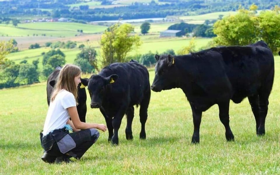 Fox's Den House in Scotland