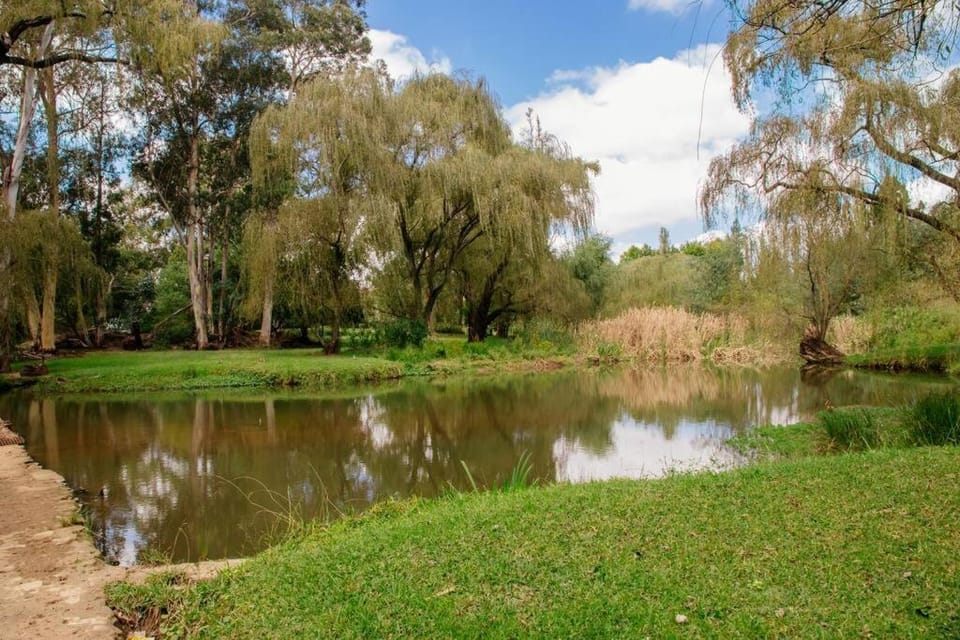 Oakdene Cottage House in Roodepoort