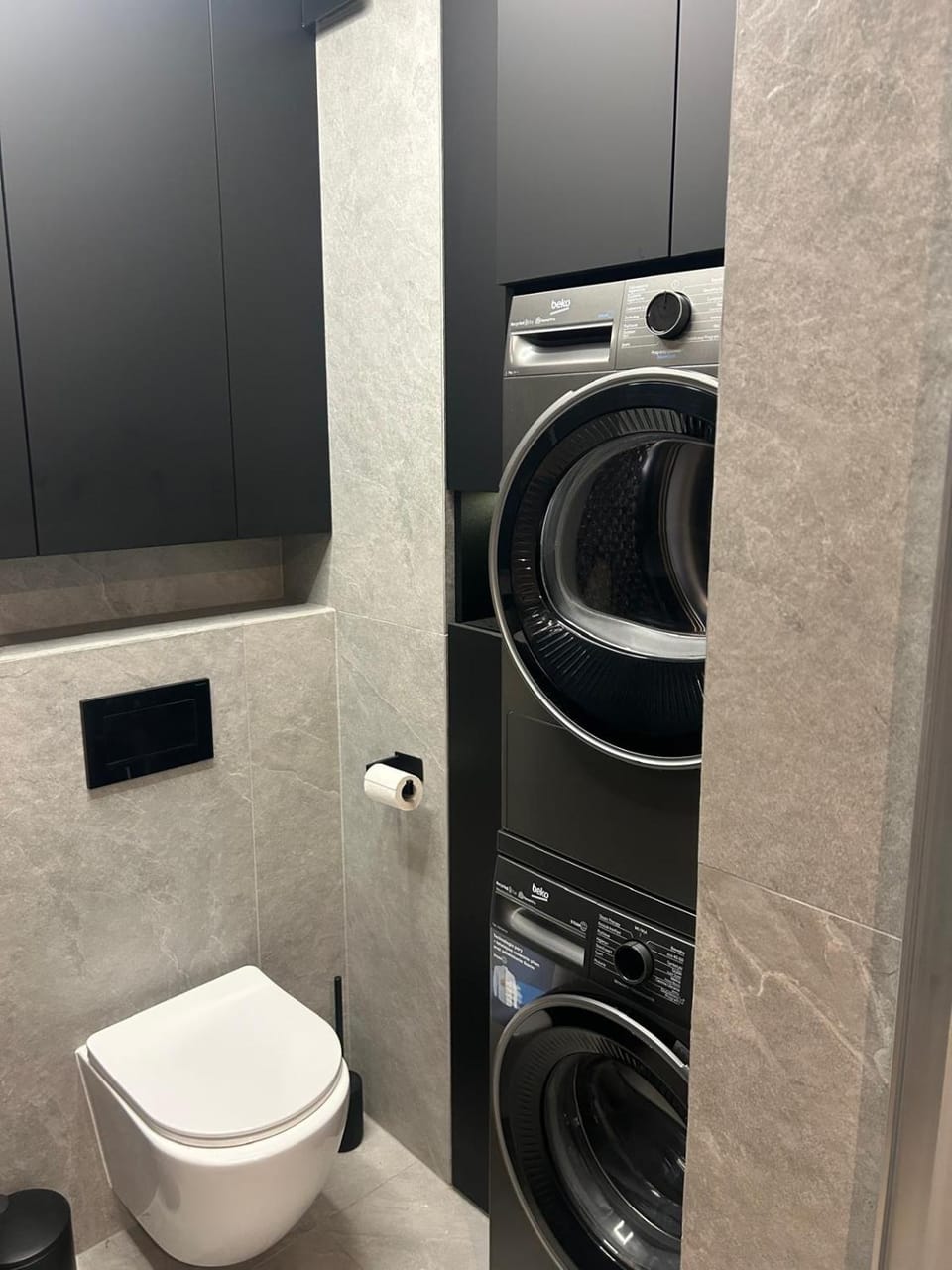 Toilet, washing machine, dryer