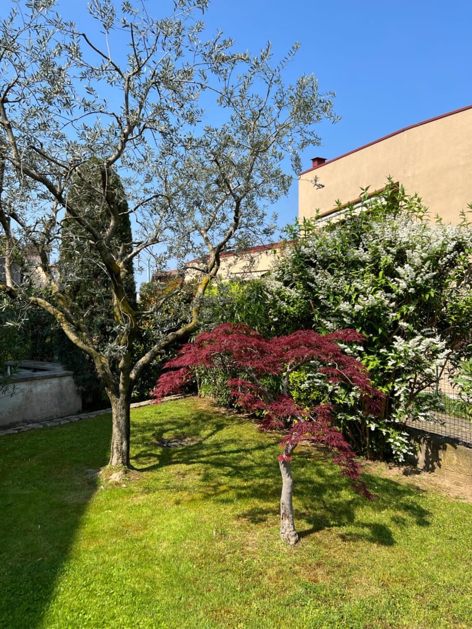 Welcome Traveller L'APPARTAMENTO DI NORMA Apartment in Bardolino