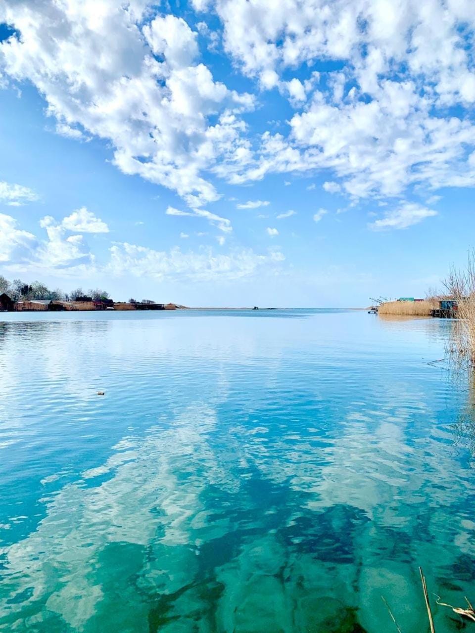 Zen House for 2 Apartment in Ulcinj Municipality