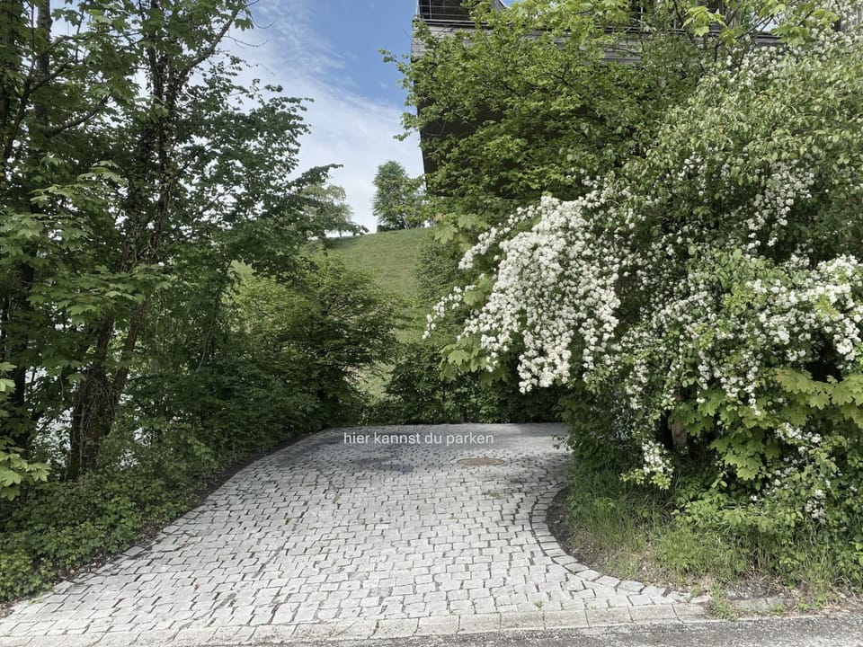Spring, Parking