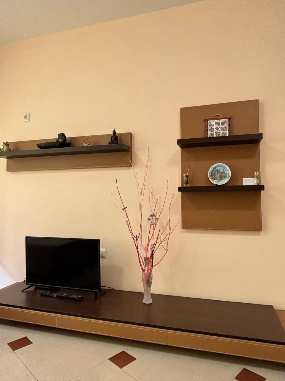 TV and multimedia