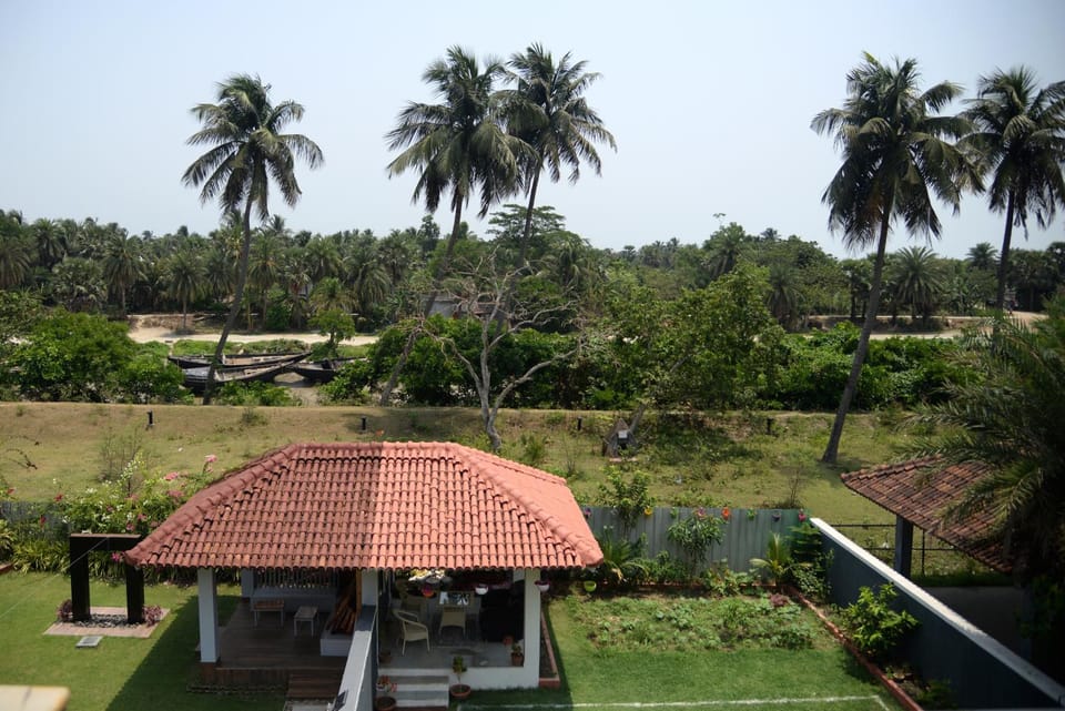 Natural landscape, Garden view