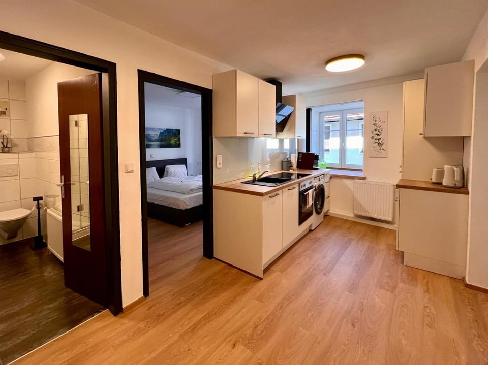 Kitchen or kitchenette, dishwasher, oven, stove