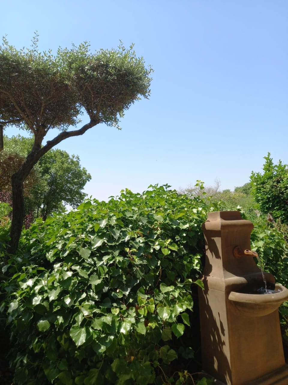 Le jardin de Sabine Vacation rental in Aix-en-Provence