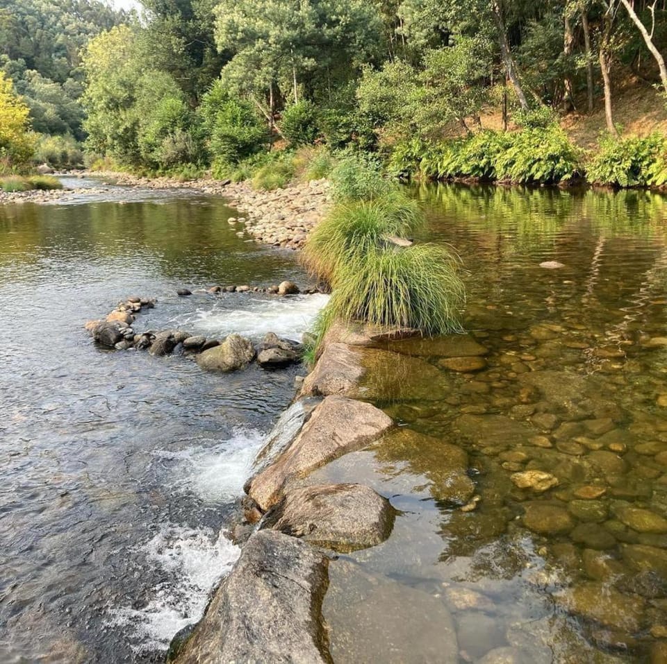 River view