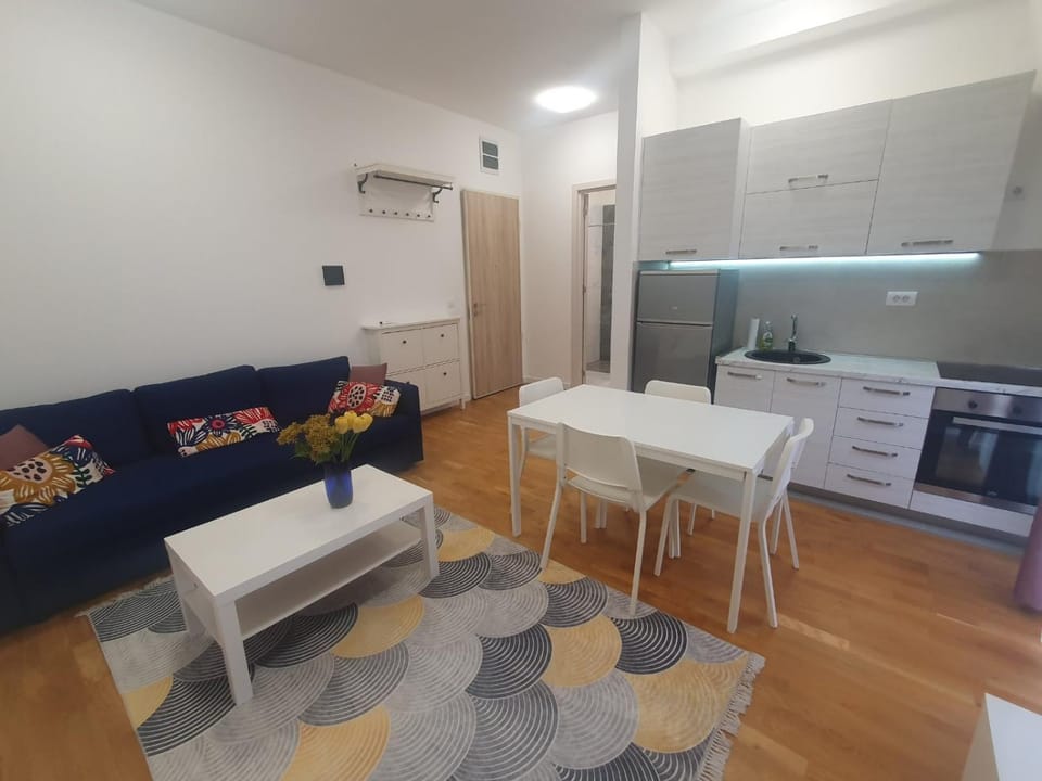 Apartman Darija Apartment in Montenegro