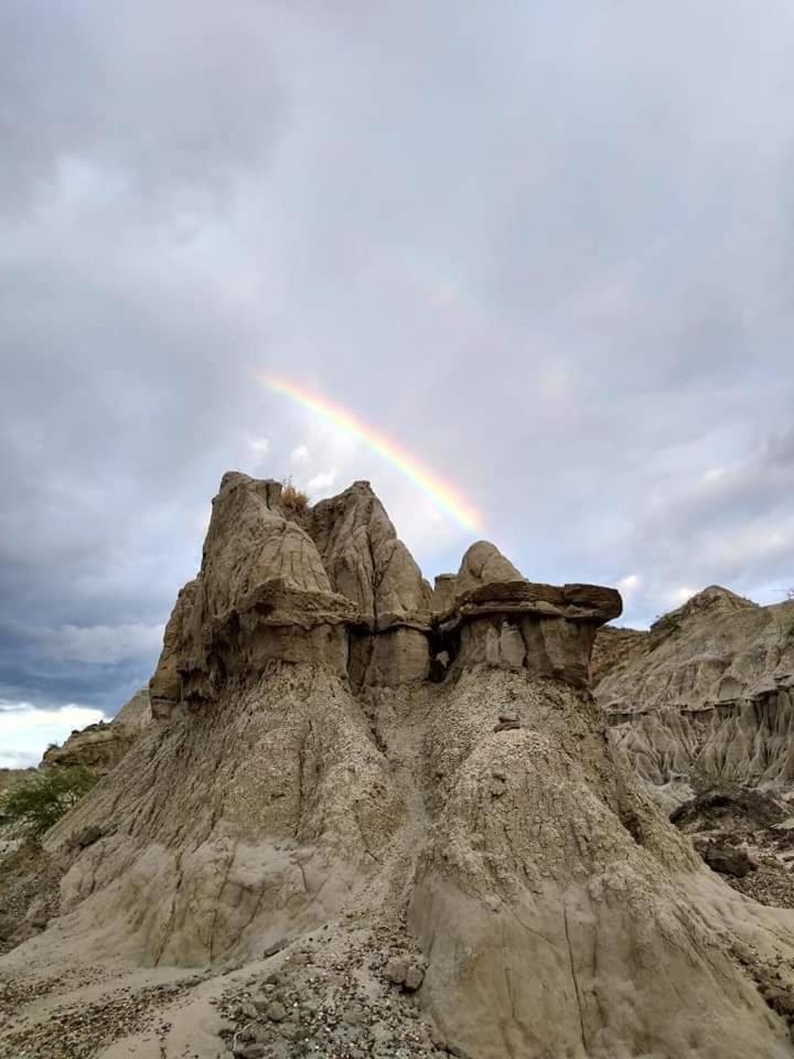 Natural landscape