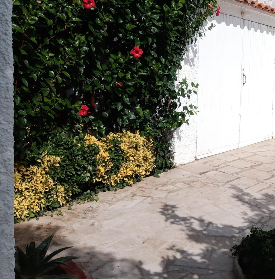 Nice and relax Mediterranean villa with free wifi House in Miami Platja