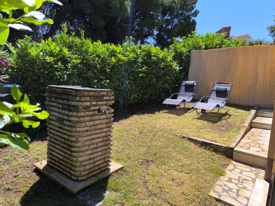 Garden, Garden view, sunbed