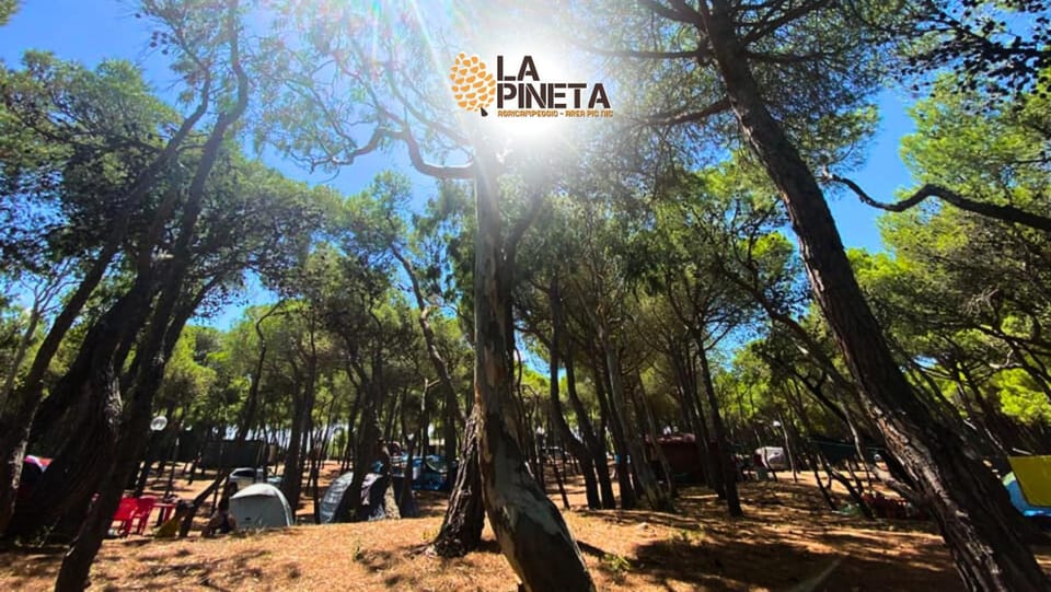 Day, Natural landscape, group of guests