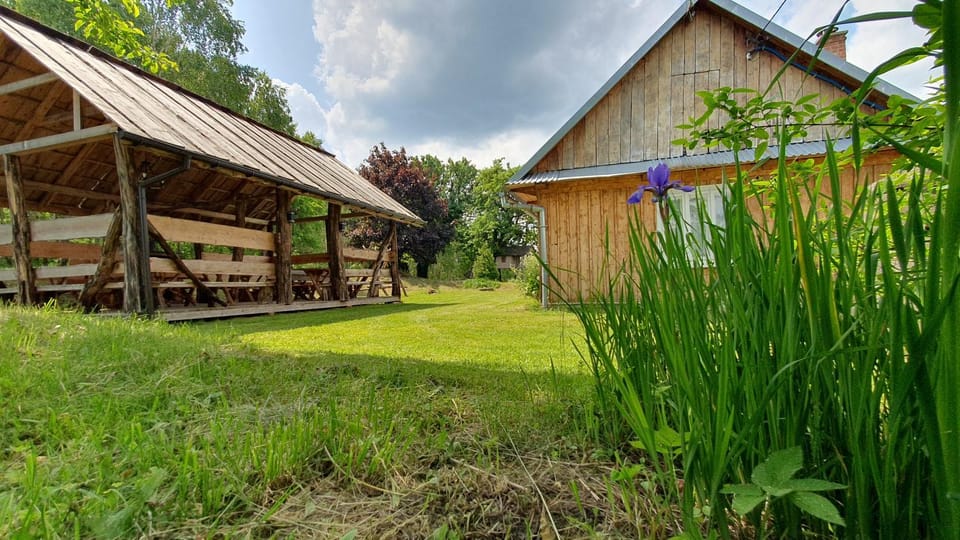 Spring, Day, Natural landscape, Garden view