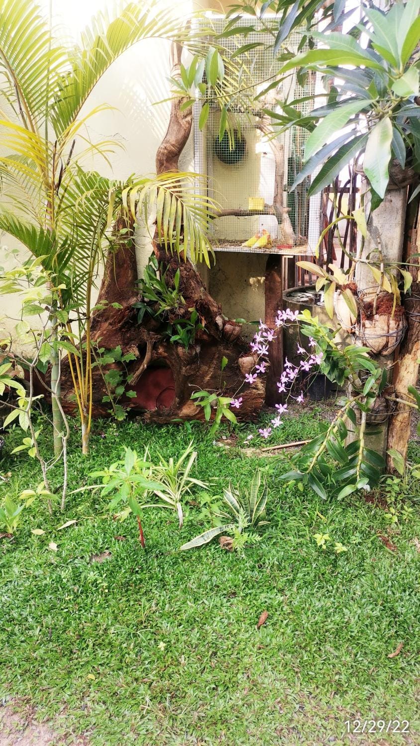 Spring, Day, Garden, Garden view