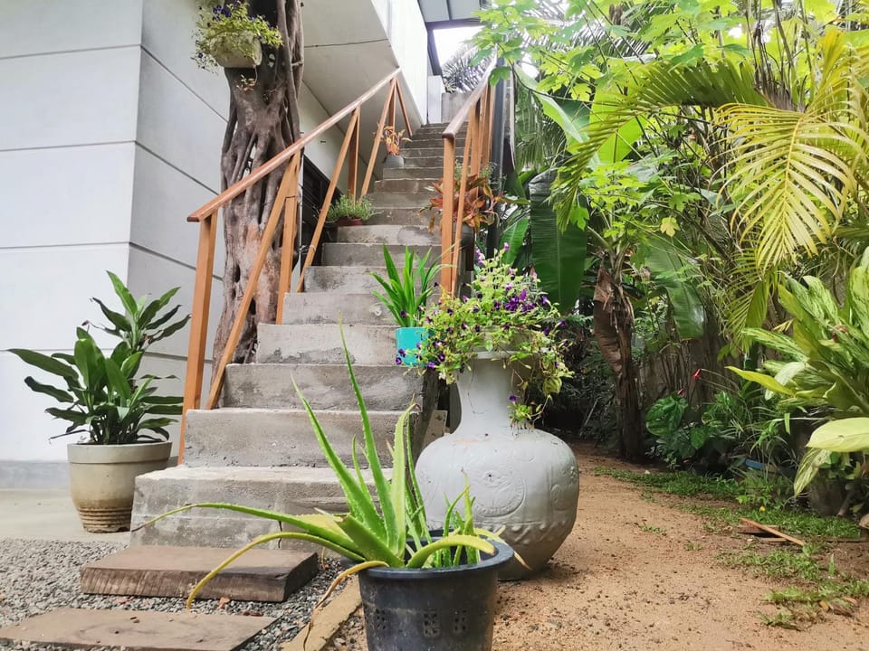 Spring, Day, Garden, Garden view