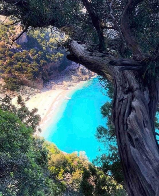 Natural landscape