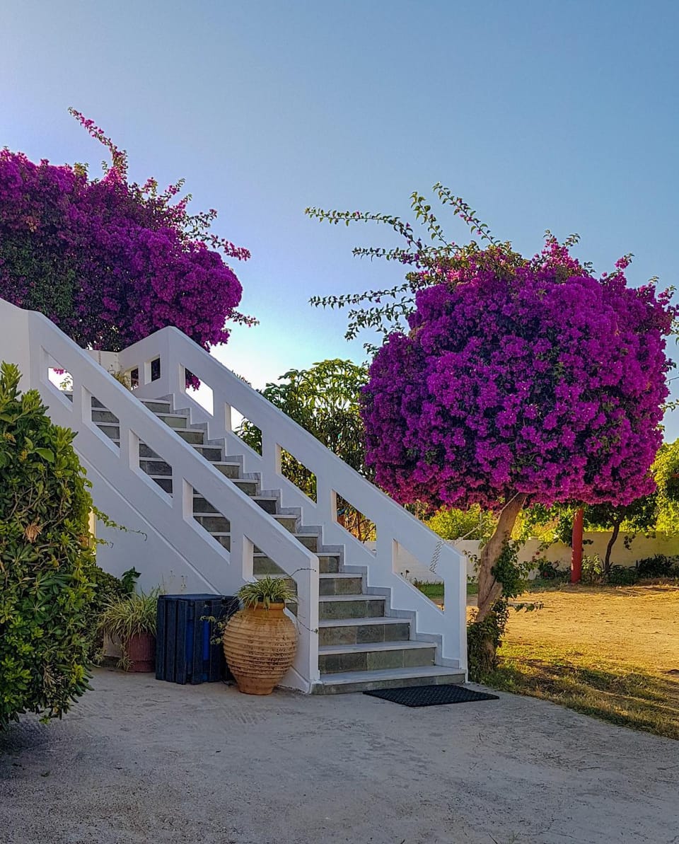 Facade/entrance, Garden