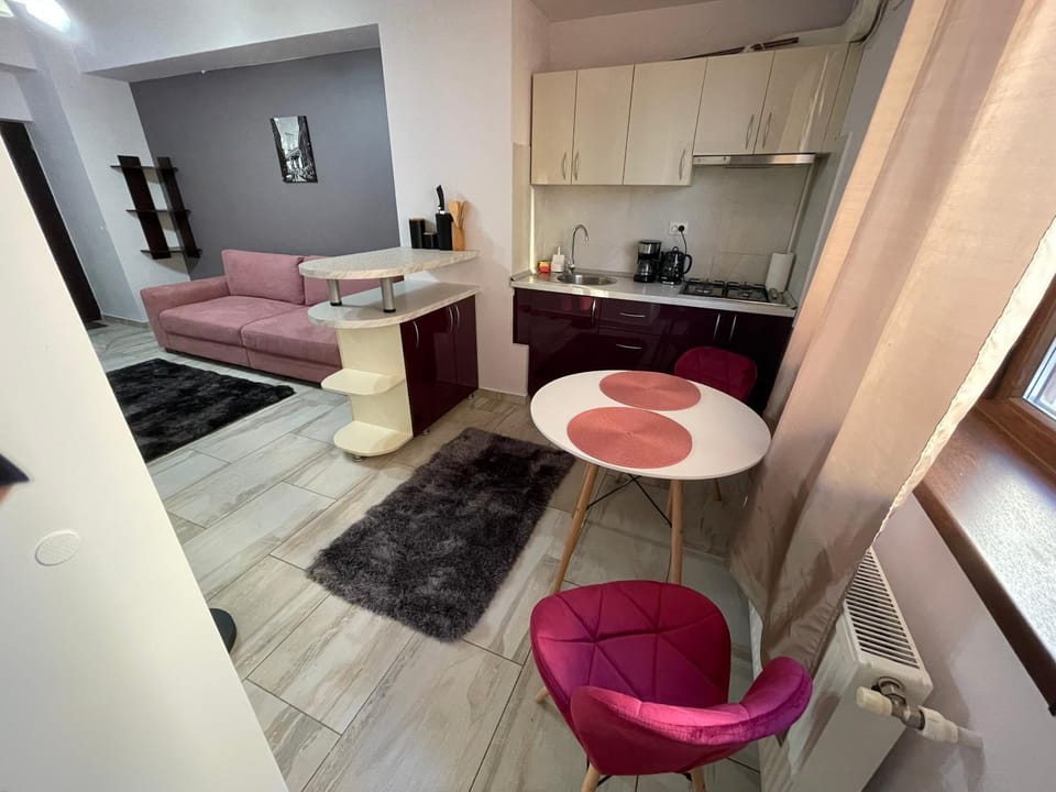 Le Lupin / center Apartment in Moldova