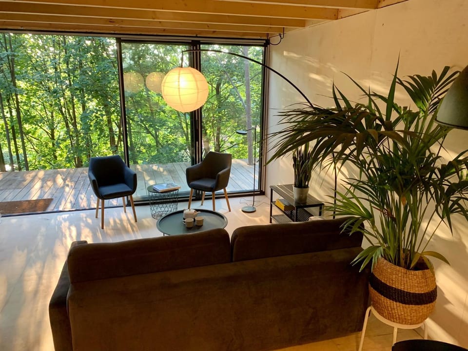 Balcony/Terrace, Living room, Seating area