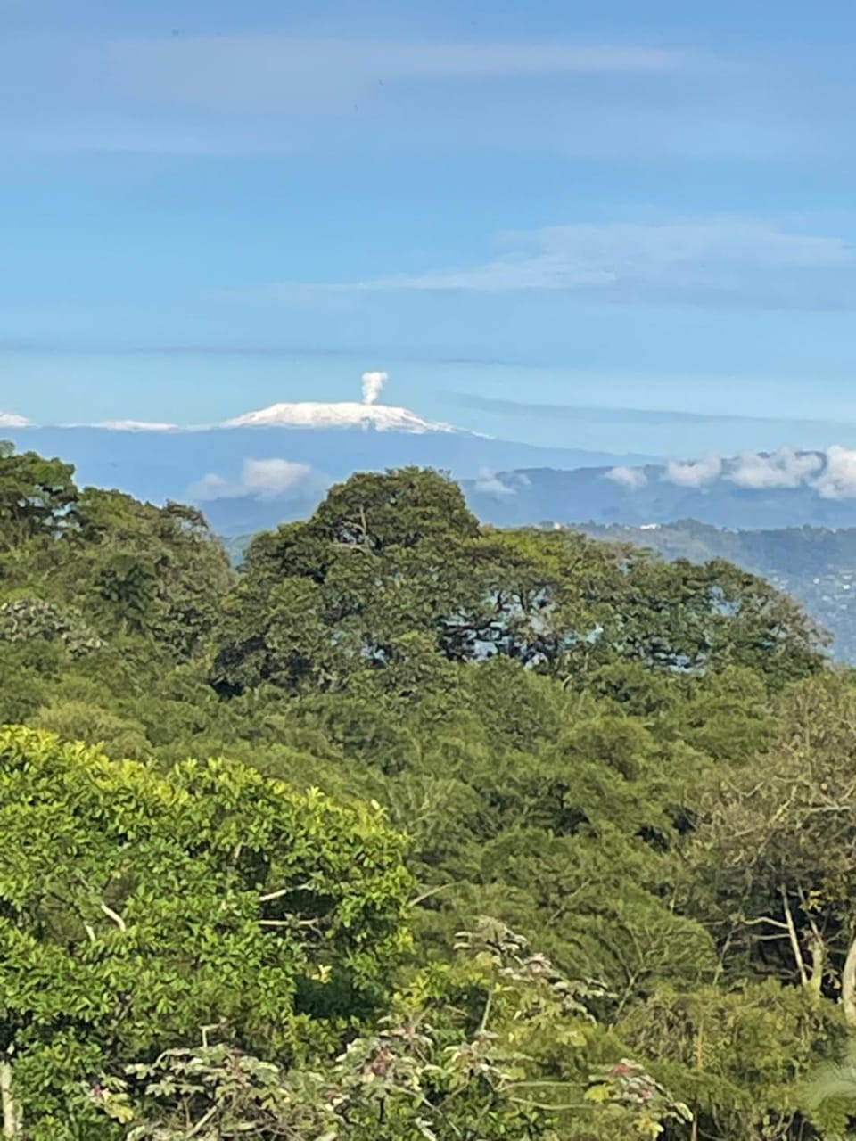 Cabaña en El Guadual House in Cundinamarca, Colombia