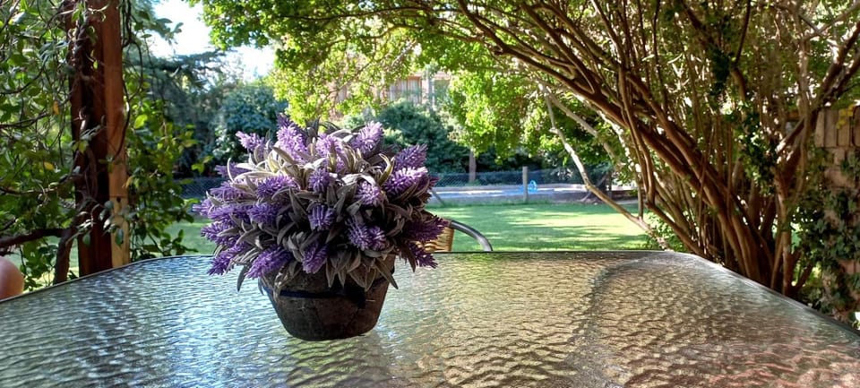 Garden view