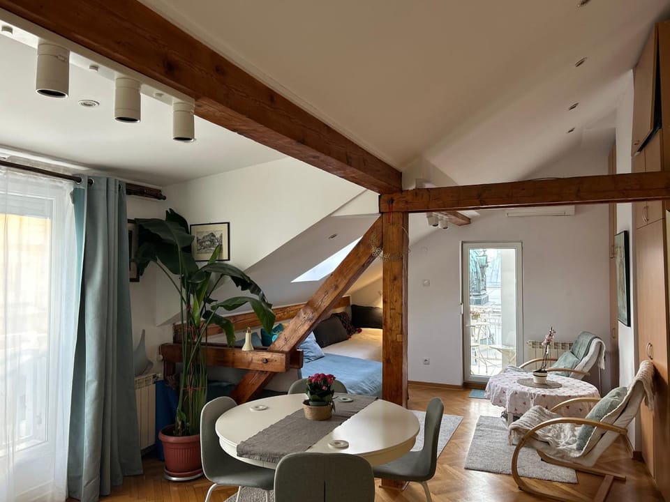 Cooling Epicenter Apartment in Belgrade