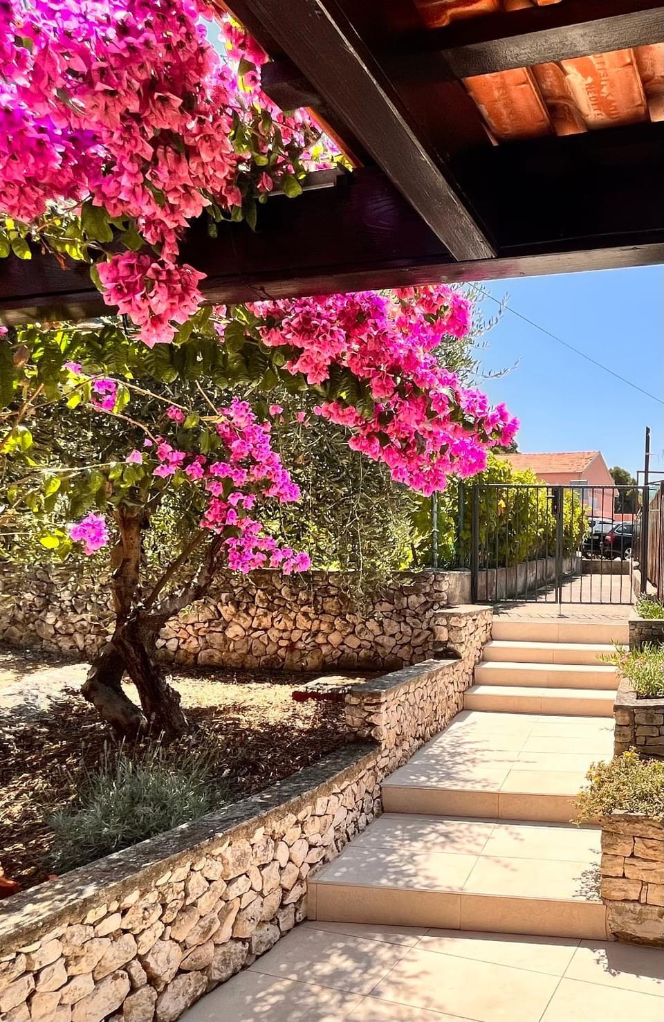 Facade/entrance, Garden