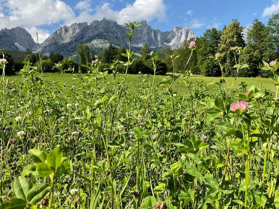 STADTVILLA BELLE KITZ im Zentrum mit Sauna by Belle Stay House in Kitzbuhel