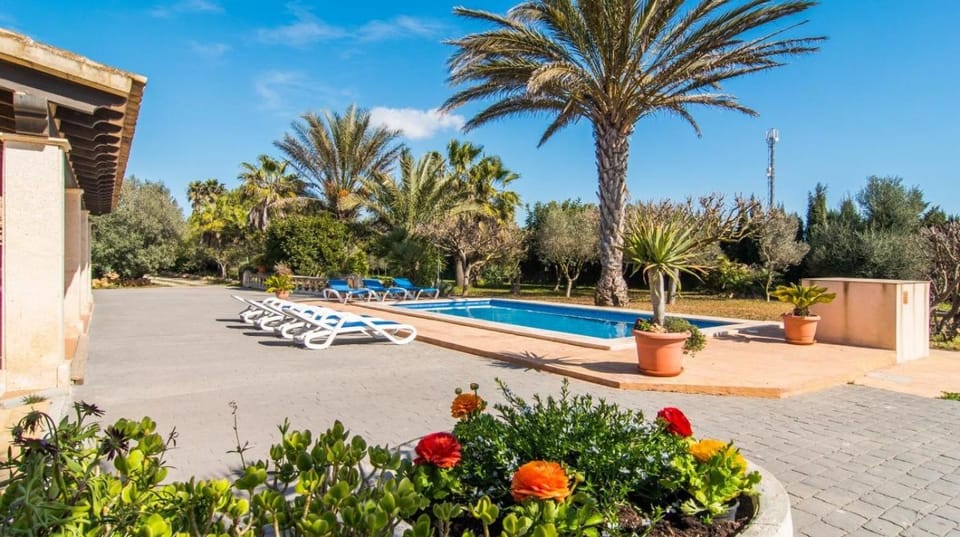 Garden, Swimming pool, sunbed